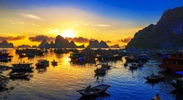 Multi-Country Tours